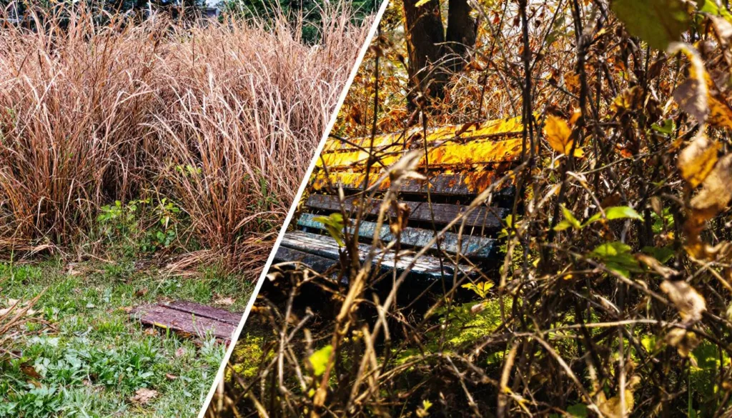 erfahren sie, wie sich das leben mit der gleichen anzahl von freunden komplett verändern kann und entdecken sie die geschichte von glück und freundschaft.