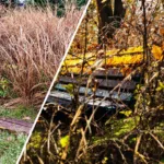 erfahren sie, wie sich das leben mit der gleichen anzahl von freunden komplett verändern kann und entdecken sie die geschichte von glück und freundschaft.