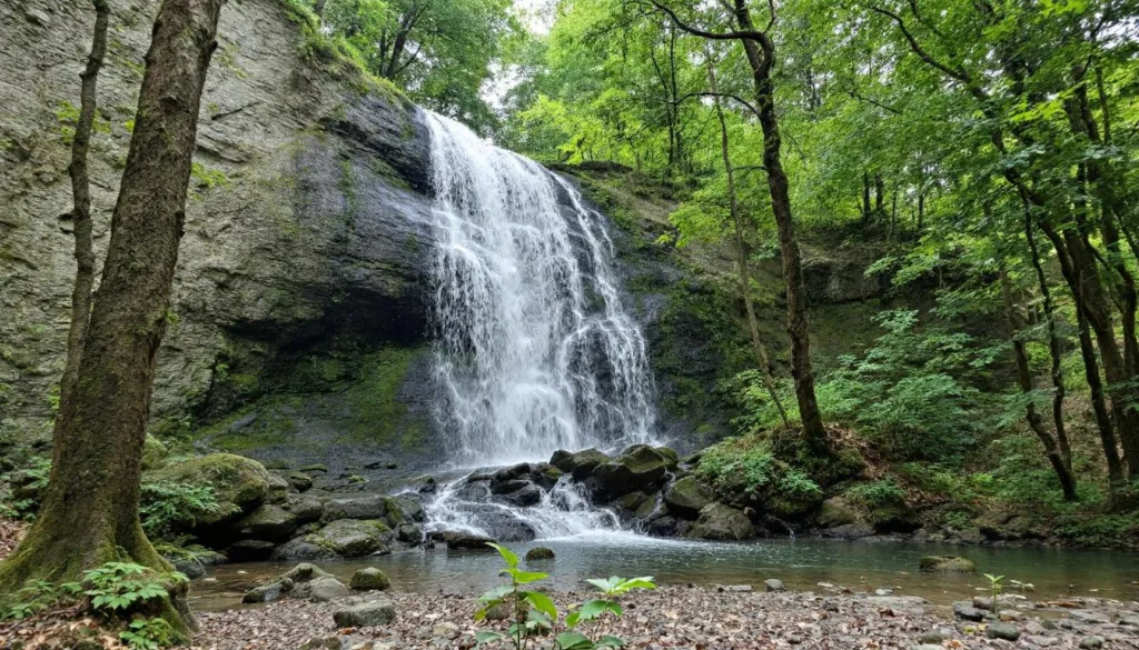 entdecken sie, warum granatapfelkerne beim entkernen nie mehr durch die küche fliegen und lernen sie einfache tricks für eine saubere und effiziente methode.